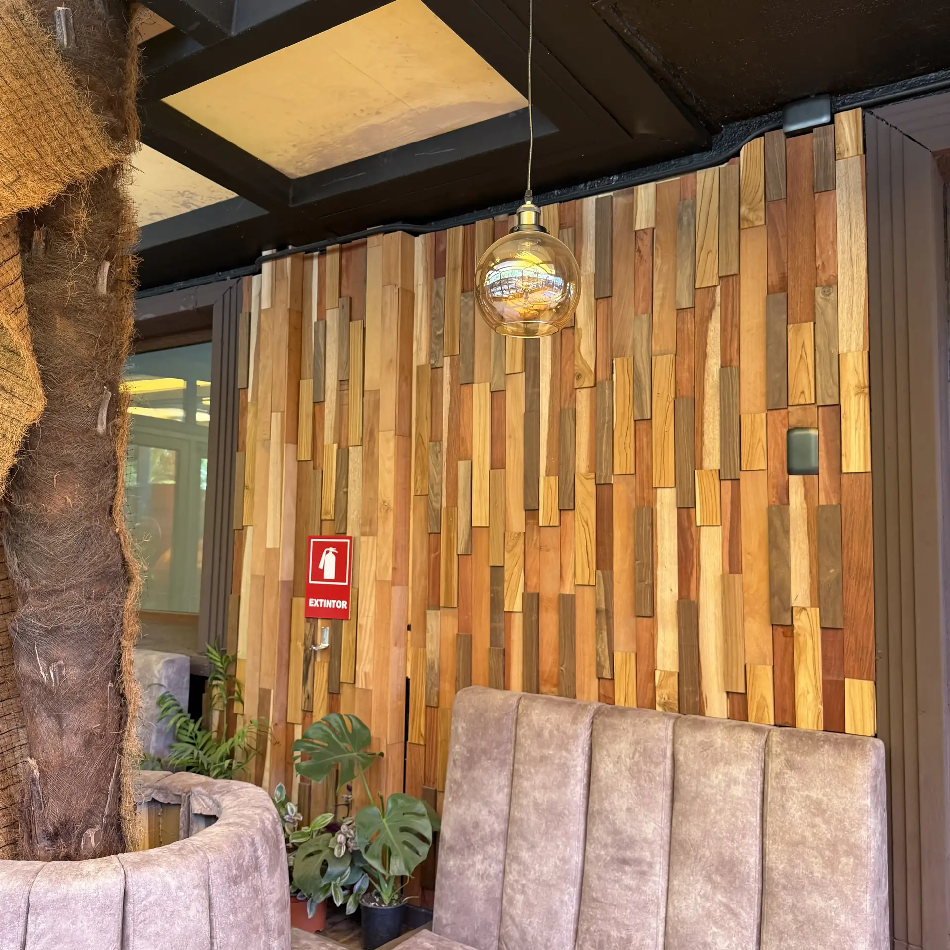 Lotes y Ofertas Pacific Forest